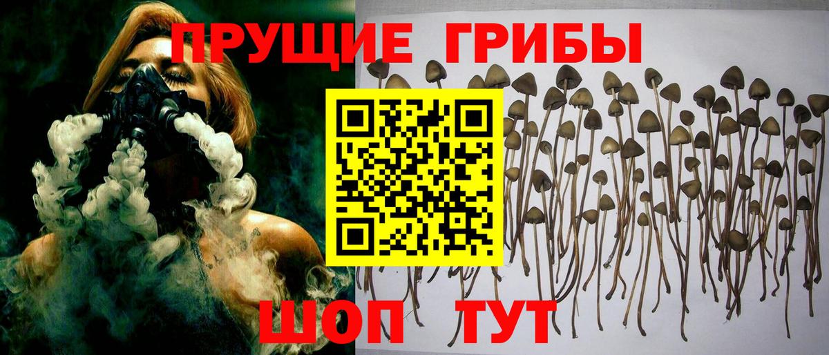 Галлюциногенные грибы GOLDEN TEACHER  Вход с VPN  Псилоцибиновые грибы Magic Shrooms  Славгород 