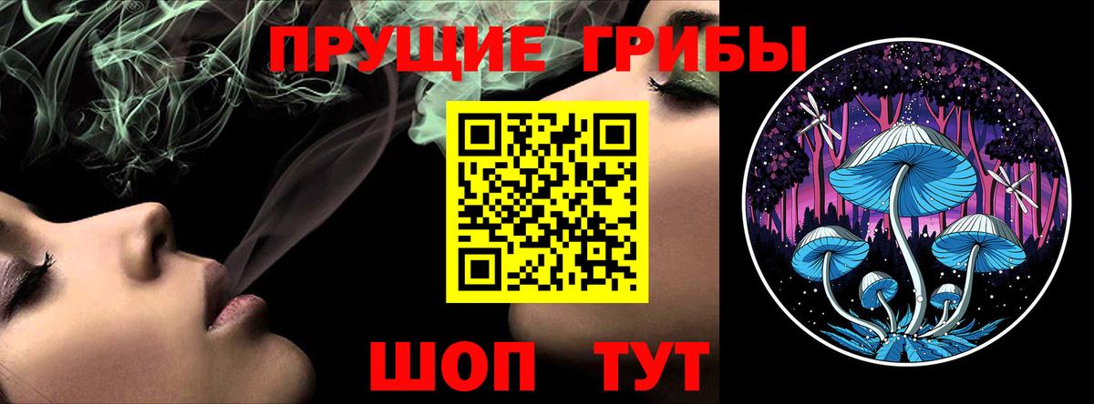 Галлюциногенные грибы Cubensis Славгород